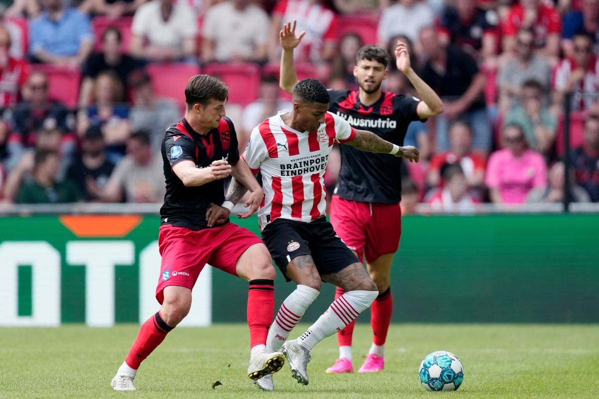 他们的目光 他们的目光